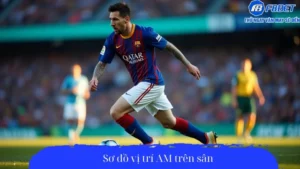 Sơ đồ vị trí AM trên sân